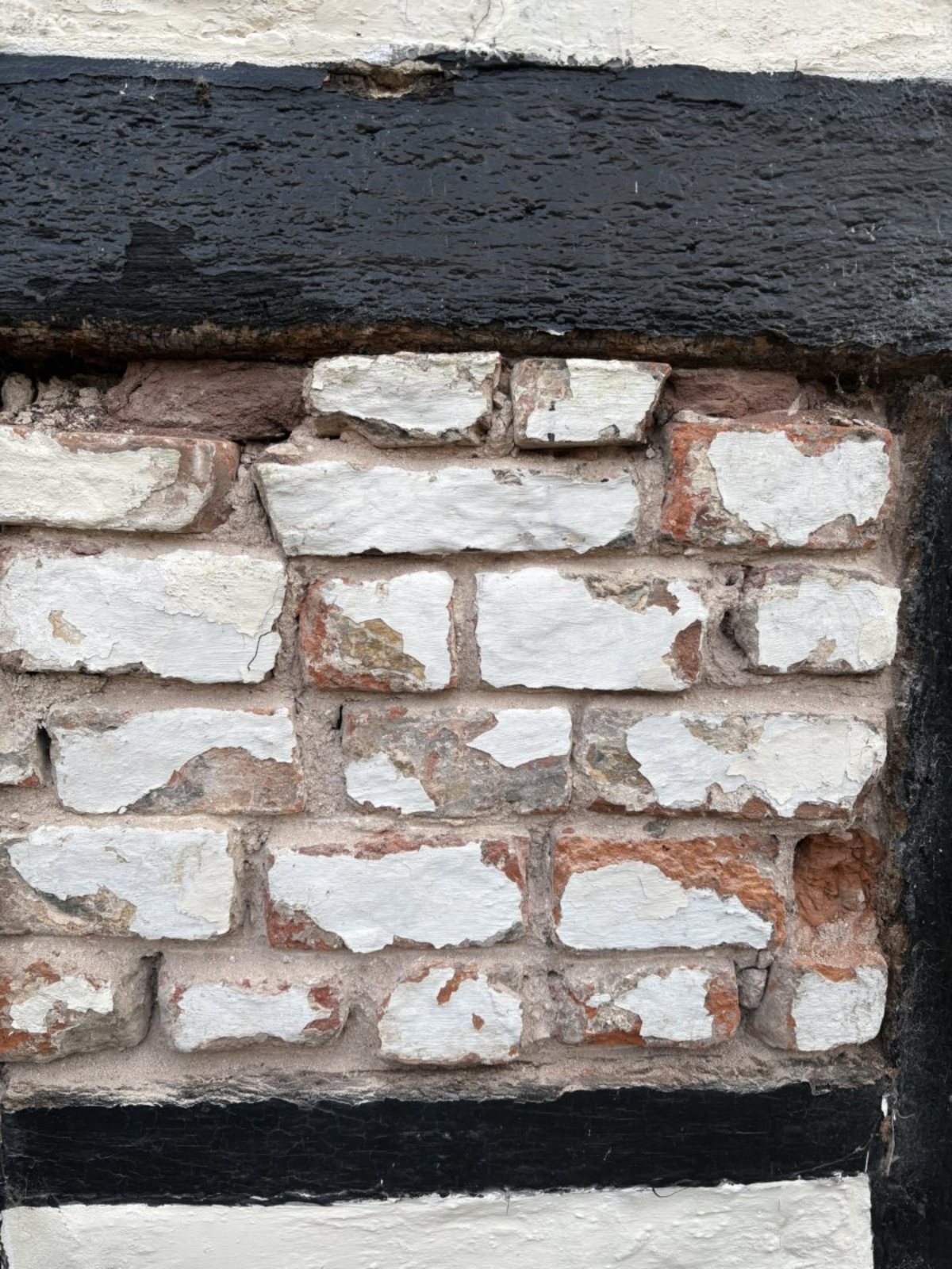 Photo 02-12-2024, 10 17 35