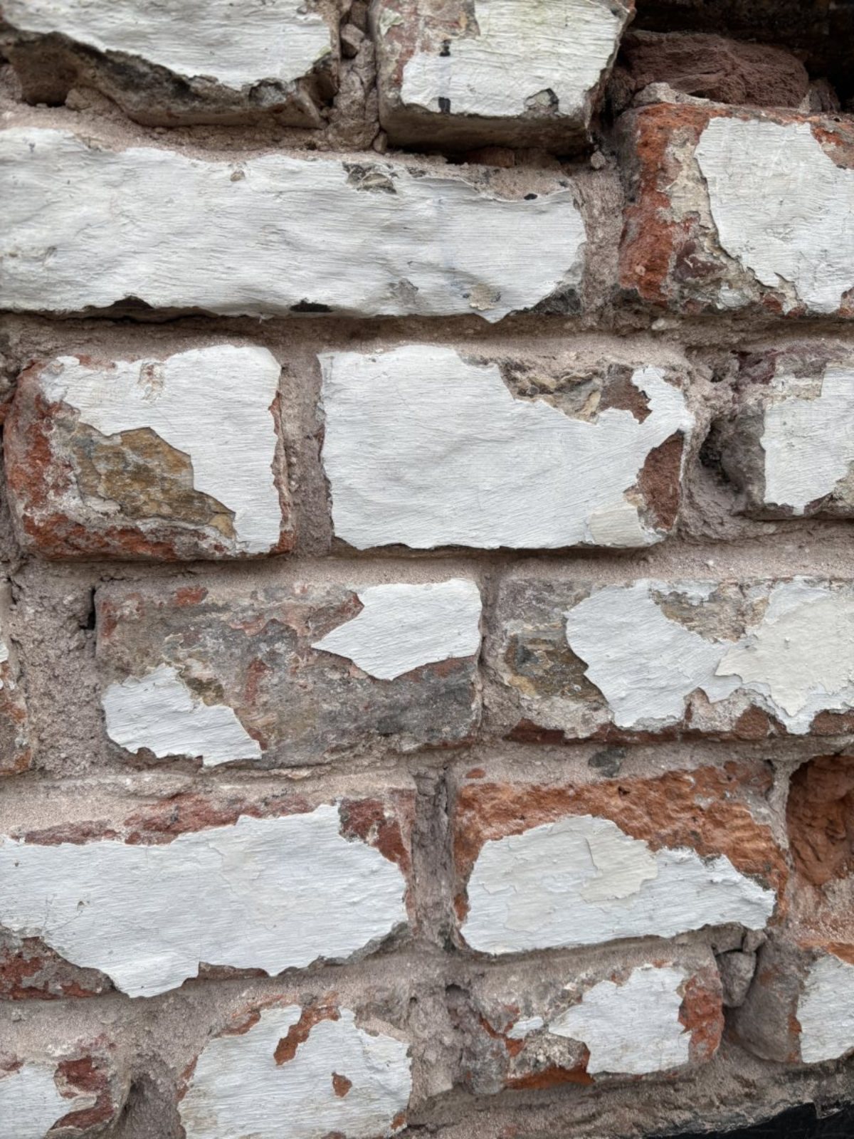 Photo 02-12-2024, 10 17 38