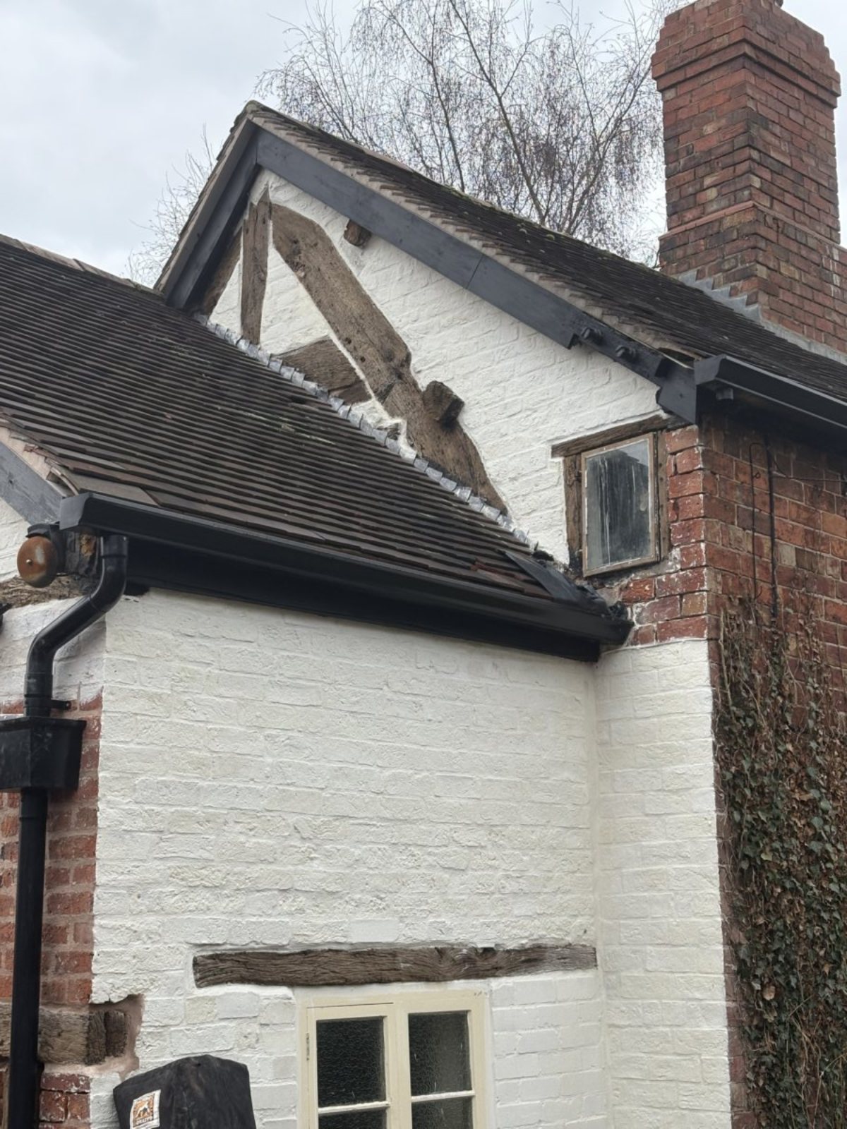 Photo 12-02-2025, 13 35 58