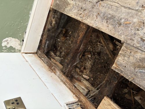 Photo-06-05-2025-12-00-16